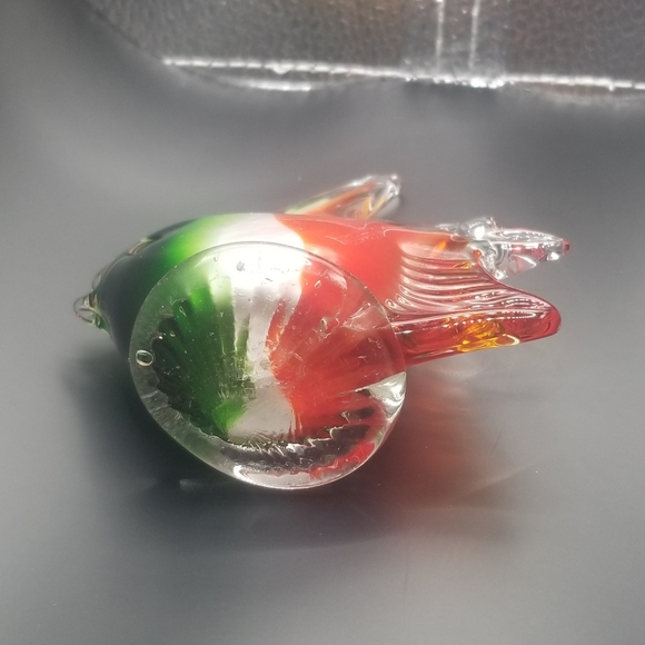 Glass fish - Picture 5 of 16